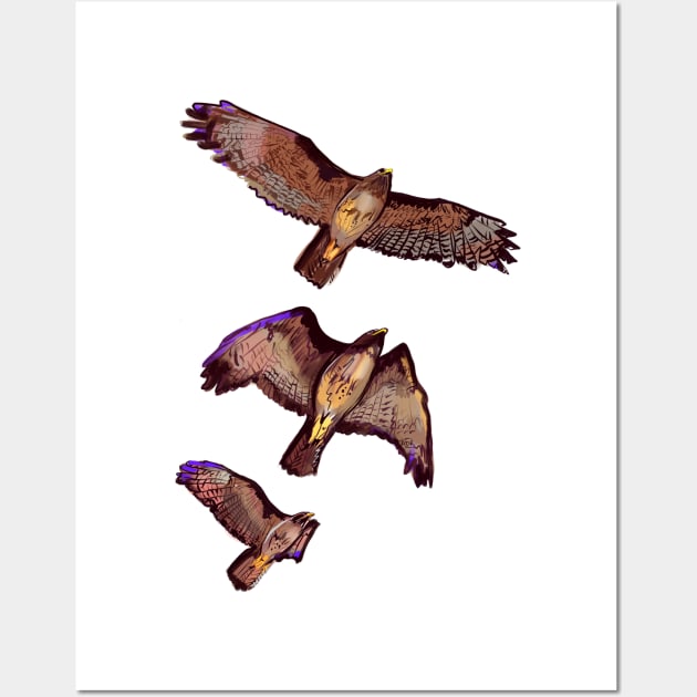 Hawks in Flight Wall Art by Surly